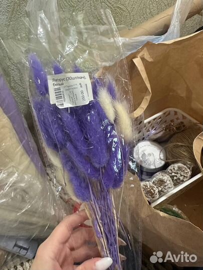 Фудфлористика