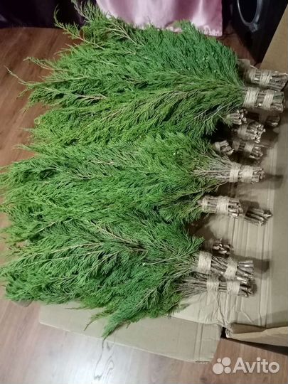 Веники для бани: дуб, берёза, можевел