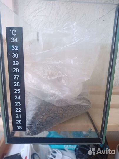 Аквариум(комплект)