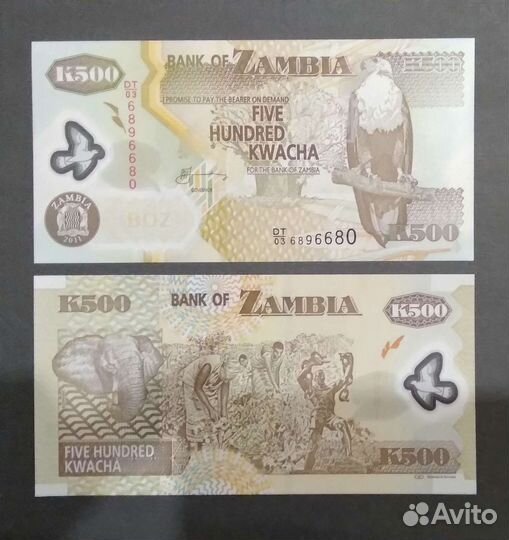 Замбия 500 квача 2011 UNC (полимер)