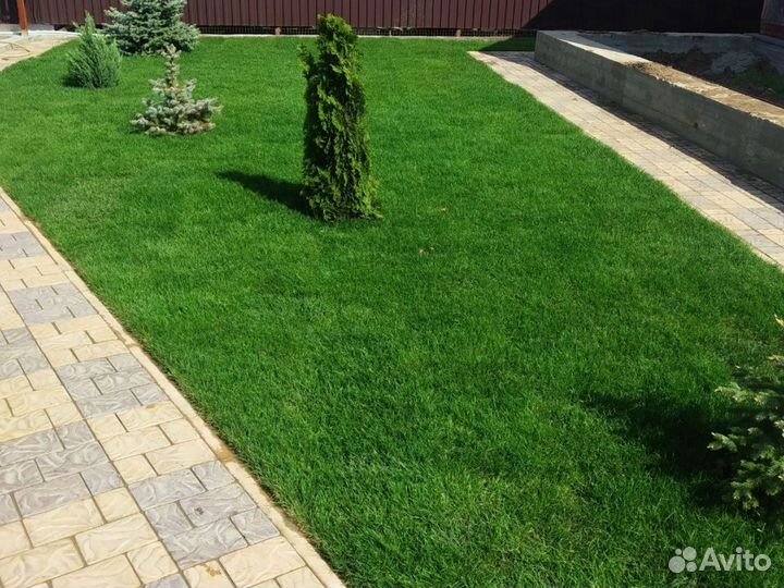 Автополив, проектирование и монтаж автополива