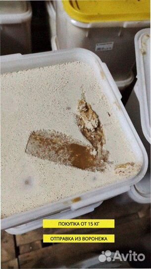 Мед оптом 100% натуральный