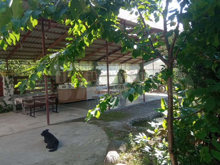 Дом (Абхазия)