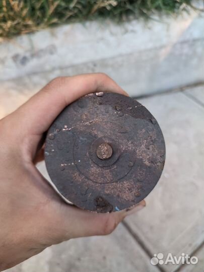 Кругляк медный