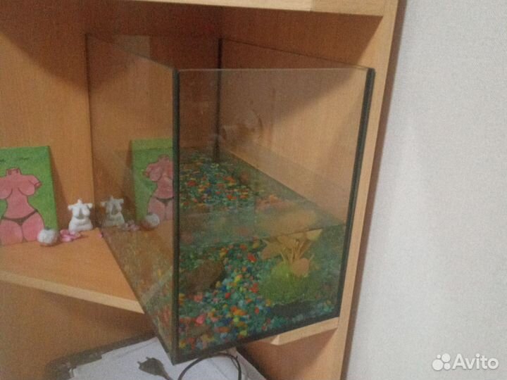 Аквариум