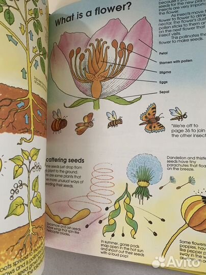 Энциклопедия для детей на английском языке