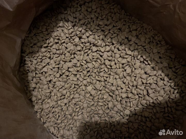 Royal canin medium starter