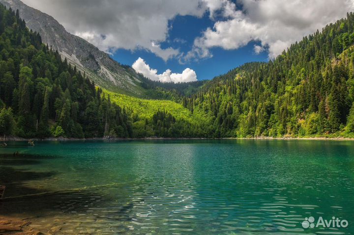 Экскурсии Сочи / Золотое Кольцо Абхазии