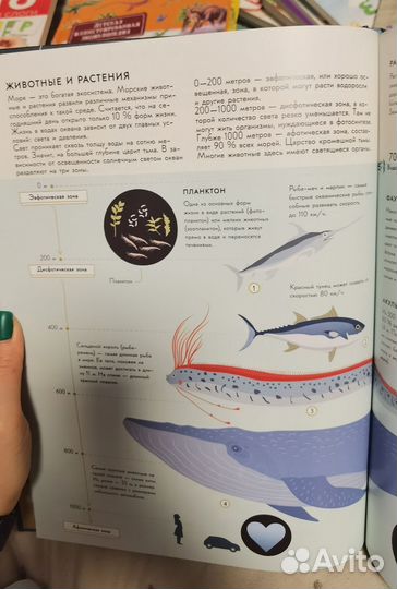 Планета Земля книга