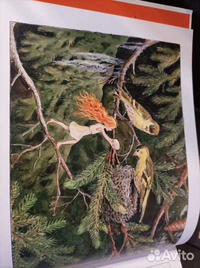 Красивые детские книги