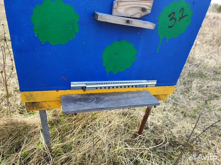 Пчелы улья пасеку