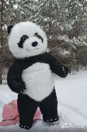 Продам Ростовых кукол