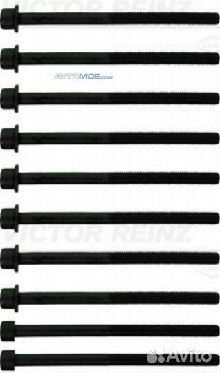 Комплект болтов головки блока 141038301 victor rei