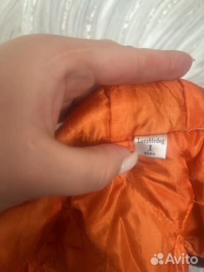 Комтюм на мини собаку