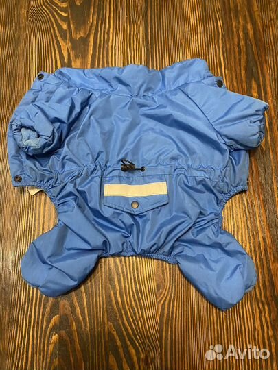 Одежда для собак