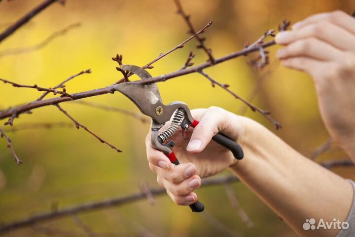 Разнорабочий в сады