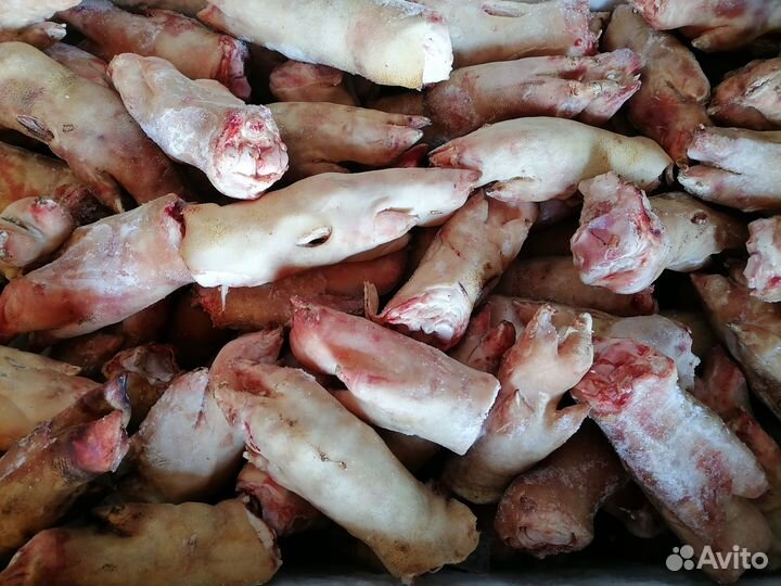 Свиные ножки