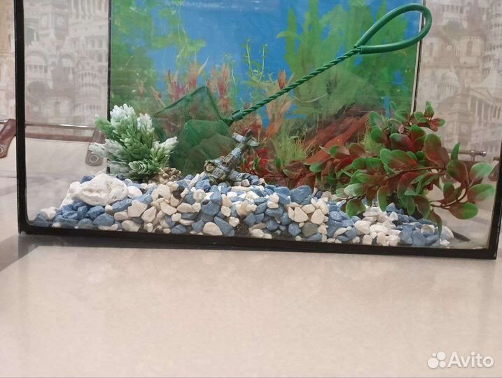 Аквариум