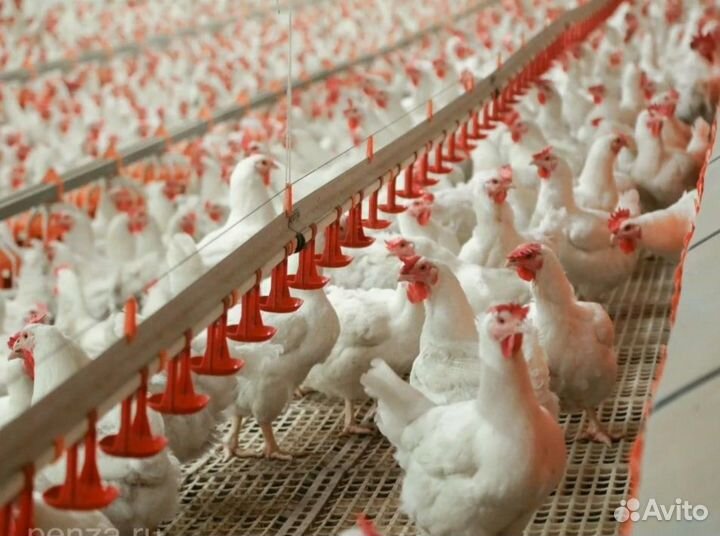 Подсобный рабочий