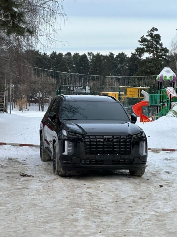 Hyundai Palisade: фото владельца