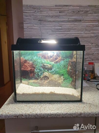 Аквариум
