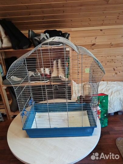 Большая клетка для птиц