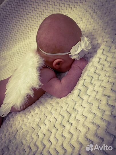 Крылья для фотосессии новорождённого