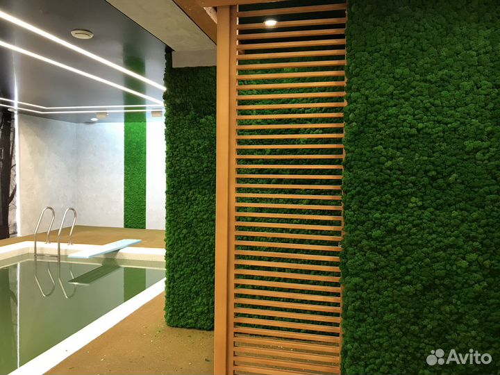 Стабилизированный мох