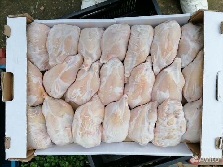 Тушки корнишонов
