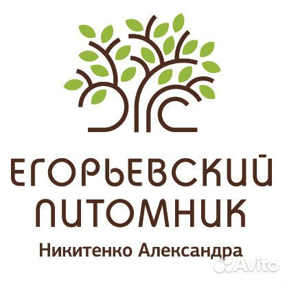 Разнорабочий