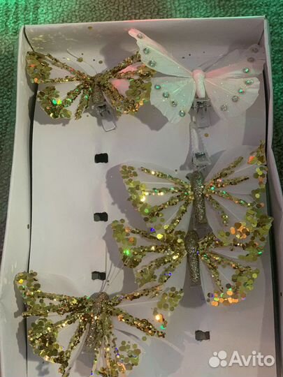 Флористика бабочки