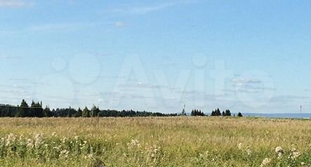 Участок 12,6 сот. (ИЖС)