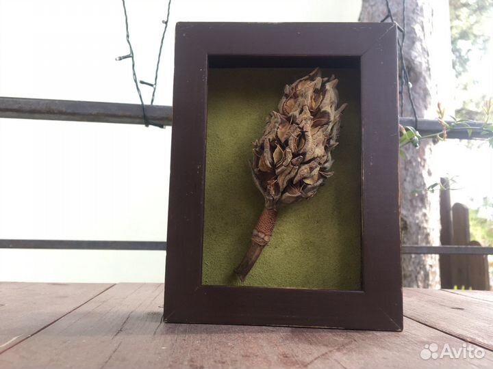 Натюрморт 3D)