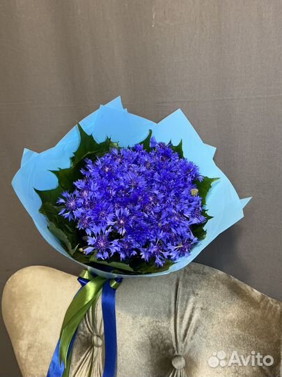 Васильки букет