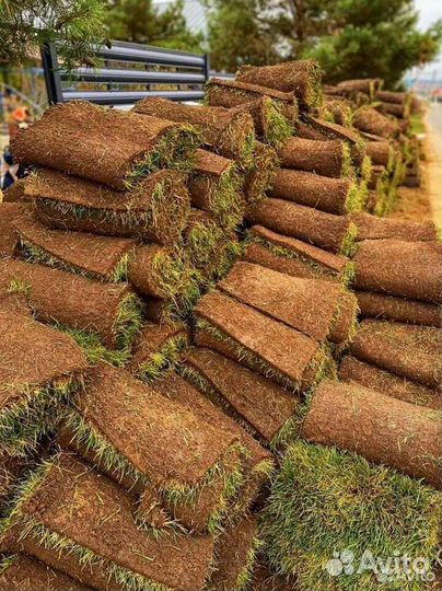 Рулонный газон с укладкой и под ключ