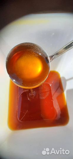 Мед Алтайское разнотравье оптом 2023