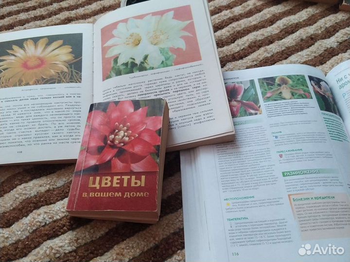 Книги о комнатных растениях