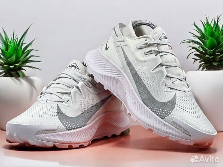 Nike Pegasus Trail 2