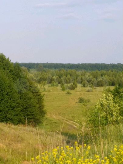 Участок 19,8 га (СНТ, ДНП)