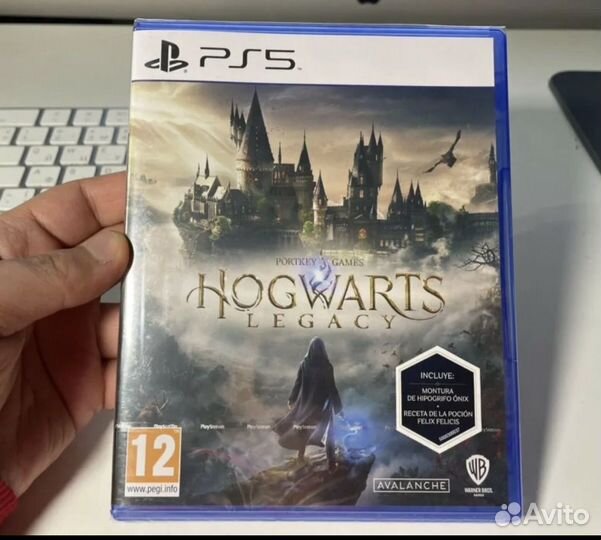 Игра Hogwarts Legacy PS4/PS5