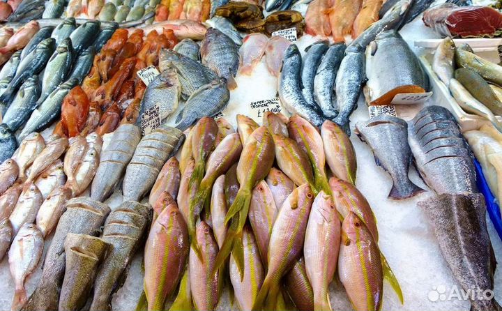 Франшиза: минимальные риски старта