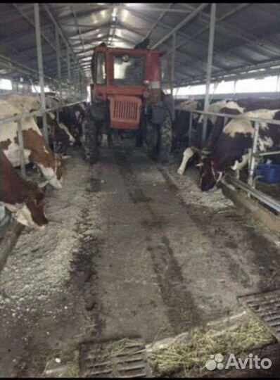 Продам миниферму