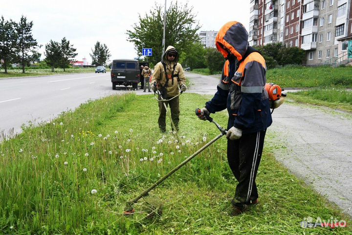 Скос травы триммером