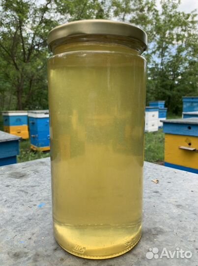 Мед белая акация 1,5л 2023 доставка бесплатно