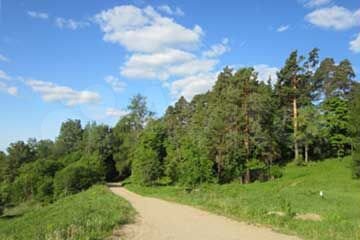 Участок 8,9 сот. (СНТ, ДНП)