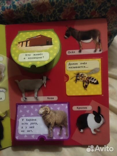 Книжка с окошками