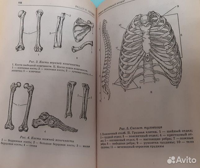 Биология. Справочник школьника