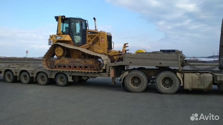 Услуги Трала