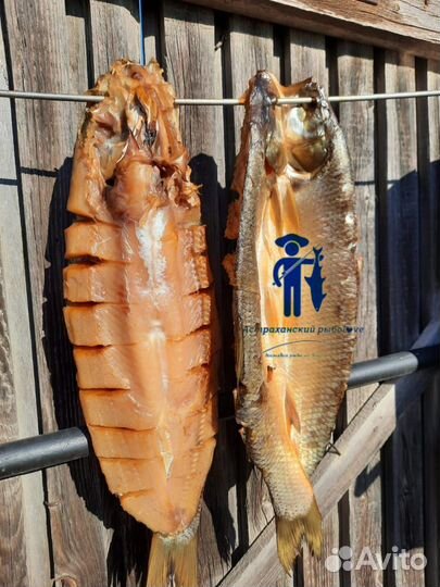 Жерех холодного копчения/Посылки из Астрахани