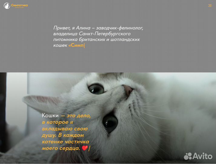 Создание сайтов на тильде